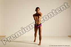 Elmer - Traditional Korean Art